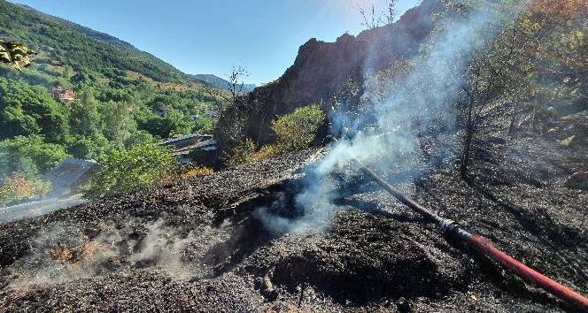 Gümüşhane’de otlar tutuştu, çok sayıda bahçe küle döndü