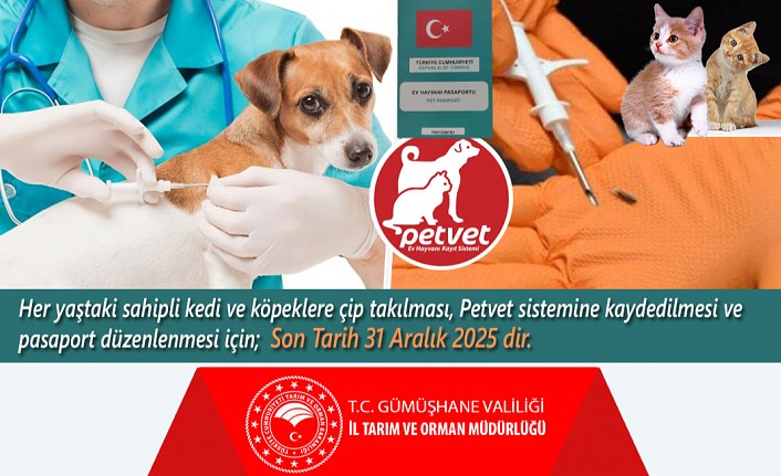 Kedi ve köpekler 31 Aralık tarihine kadar kimliklendirilecek #haberi, #haberleri, #Gümüşhane #haber