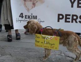 Gümüşhane’de Hayvanları Koruma Günü’nde anlamlı yürüyüş