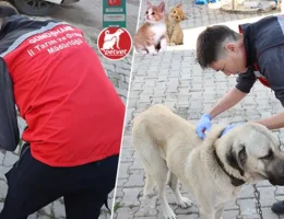 Dijital Kimlik İçin Son Tarih Yaklaşıyor