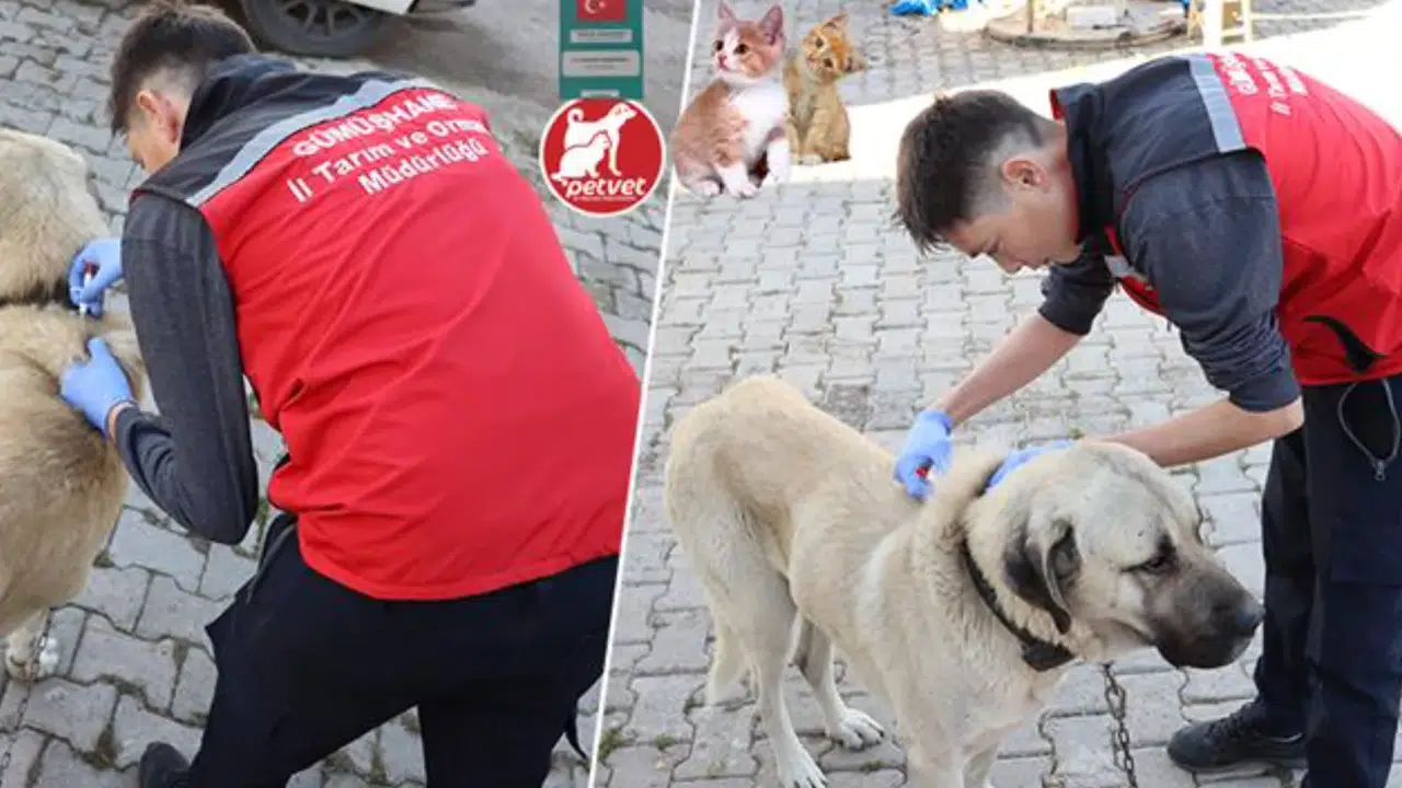 Dijital Kimlik İçin Son Tarih Yaklaşıyor