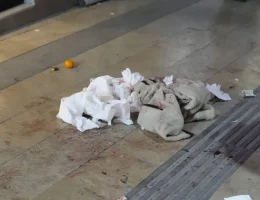 Gümüşhane’de boşanma aşamasındaki eşi tarafından bıçaklanan kadın hastaneye kaldırıldı