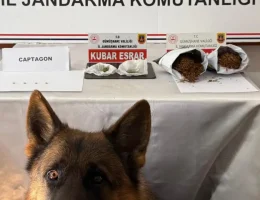 Jandarma affetmedi: Gümüşhane’de zehir tacirlerine suçüstü