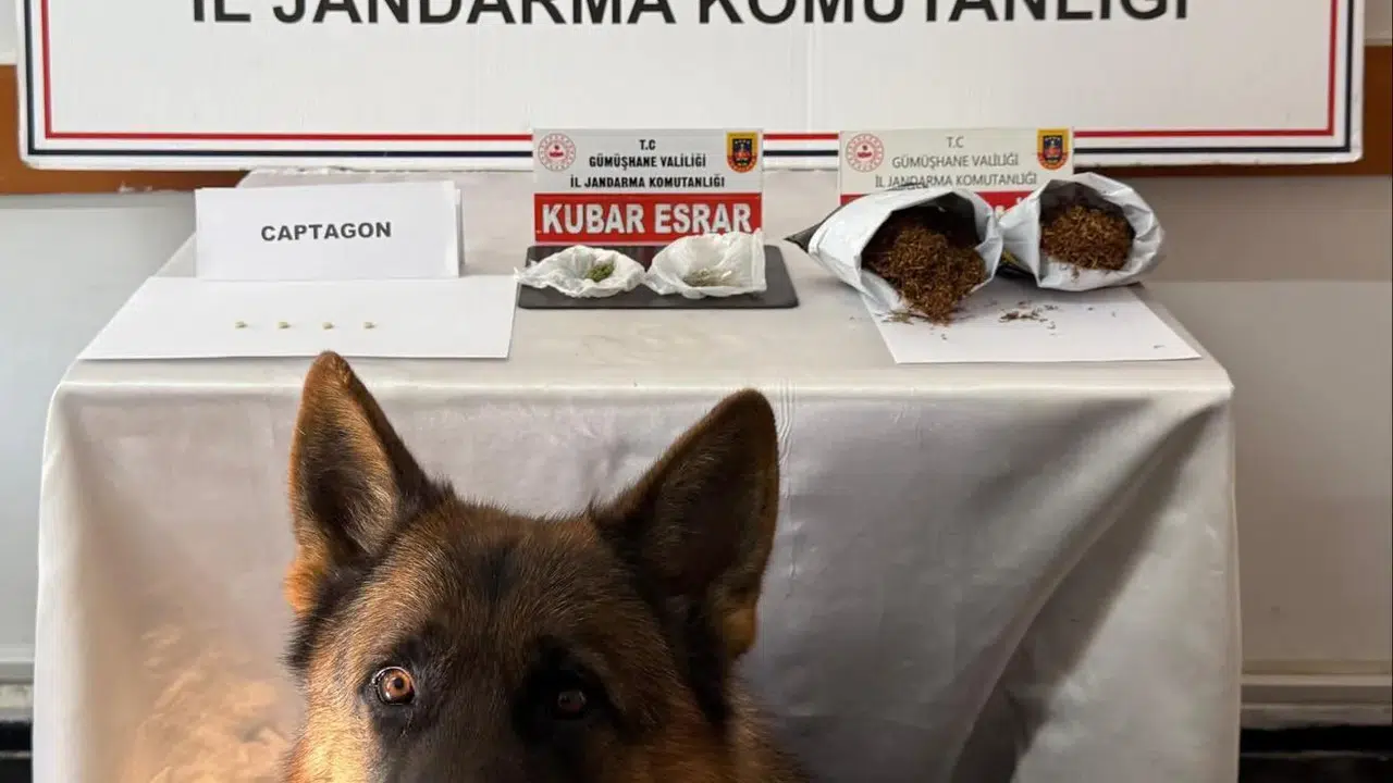 Jandarma affetmedi: Gümüşhane’de zehir tacirlerine suçüstü