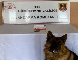 Jandarma’dan Şiran’da uyuşturucu operasyonu
