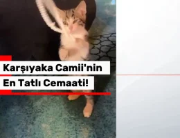 Camiye Giren Davetsiz Misafir Cemaati Mest Etti! O Anlar Saniye Saniye Kaydedildi