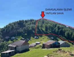 Kürtün Kızılali Yaylası’ndaki orman kesimi iptal edildi