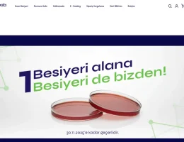 Mikrobiyolojide Güvenilir Çözümler: Hazır Besiyerinin Önemi