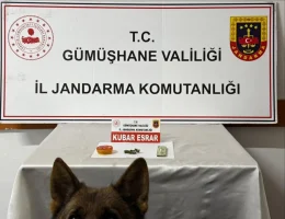 Trabzon’dan Gümüşhane’ye uyuşturucu sevkiyatına Jandarma darbesi