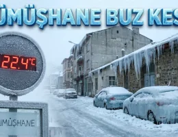 Gümüşhane Buz Kesti! O İlçede Termometreler -22,4’ü Gördü