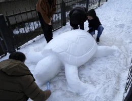 Gümüşhane’de kardan kaplumbağa ilgi odağı oldu