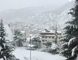 193 köy yolu ulaşıma kapandı