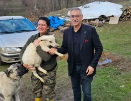 Çiftçinin Kurtuluş Reçetesi: Modern Kooperatifçilik