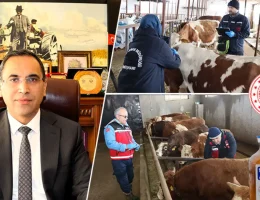 Gümüşhane’de İlkbahar Dönemi Şap Aşılama Kampanyası Başladı