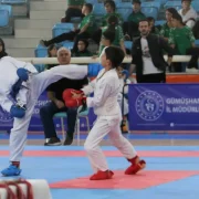 19 ilden 247 sporcu yarışacak