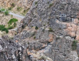 Gümüşhane Dağlarının Süsü Yaban Keçilerinin Sevimli Anları Kameralara Yansıdı
