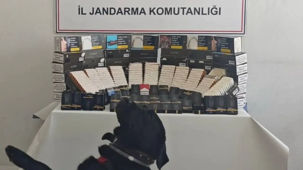 Gümüşhane İl Jandarma Komutanlığından Şiran’da Kaçakçılık Operasyonu
