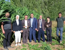 Gümüşhane Üniversitesi’nden Bölge Hayvancılığına Alternatif Kaba Yem Hazırlığı: Fil Otu