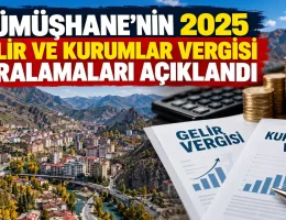 Gümüşhane’nin 2025 gelir ve kurumlar vergisi sıralamaları açıklandı