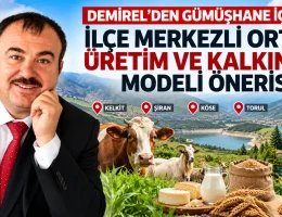 Demirel’den Gümüşhane İçin İlçe Merkezli Ortak Üretim Ve Kalkınma Modeli Önerisi