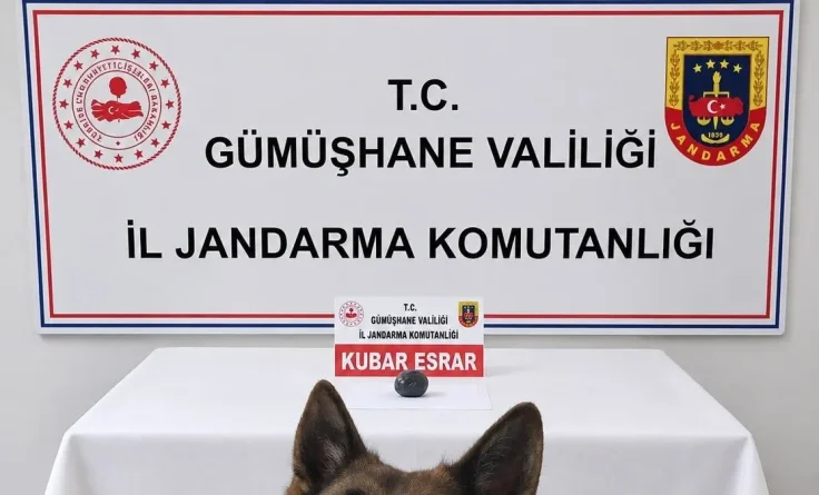 Gümüşhane’de Jandarma Ekiplerinden Narkotik Operasyonu