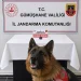 Gümüşhane’de Jandarma Ekiplerinden Narkotik Operasyonu