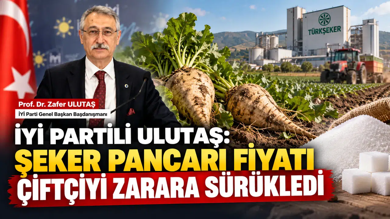 Şeker Pancarı Fiyatı Çiftçiyi Zarara Sürükledi