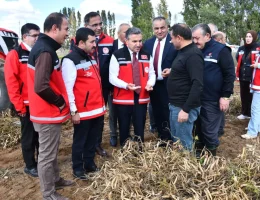 Vali Cevdet Atay Kelkit’te Şeker Fasulyesi ve Şeker Pancarı Hasadına Katıldı