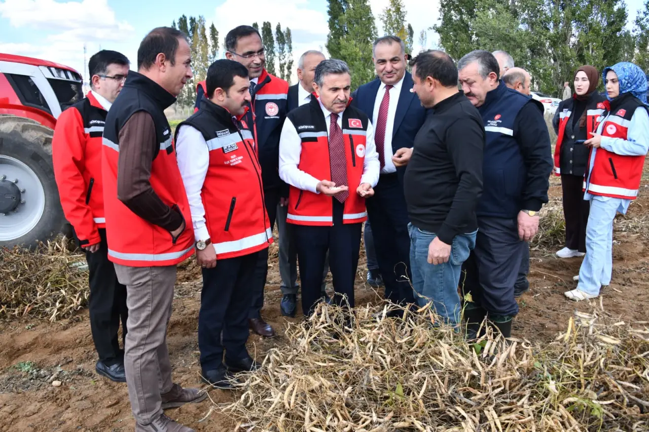 Vali Cevdet Atay Kelkit’te Şeker Fasulyesi ve Şeker Pancarı Hasadına Katıldı
