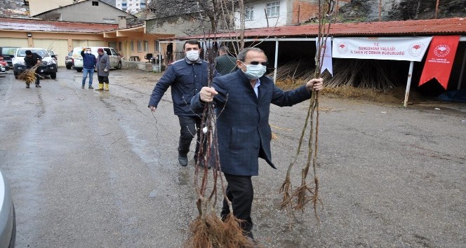 Gümüşhane’de 65 yaş üzeri çiftçilerin fidanları evlerine götürüldü