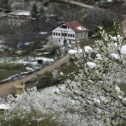 Gümüşhane’de kar yağışı zirai don tehlikesini de beraberinde getirdi