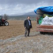 Gümüşhane’de üreticilere 160 ton yem bitkisi tohumu dağıtıldı