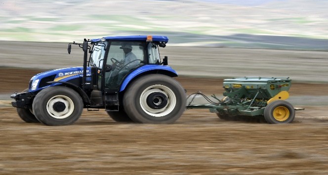 Gümüşhane karabuğdayın başkenti olacak
