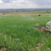 Gümüşhane’de 113 bin 800 dekar tarım arazisinin sulanmasına başladı
