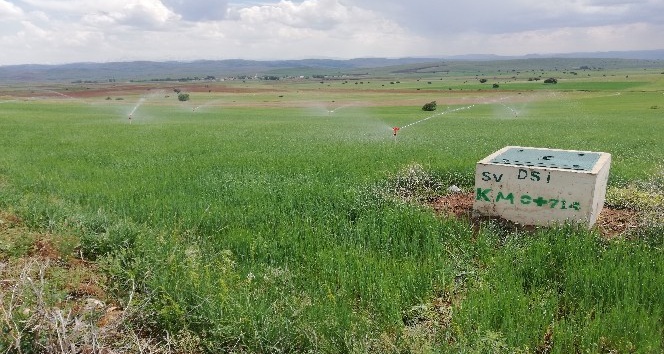 Gümüşhane’de 113 bin 800 dekar tarım arazisinin sulanmasına başladı