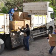 Gümüşhane’de çiftçilere 283 bin adet sebze fidesi dağıtıldı
