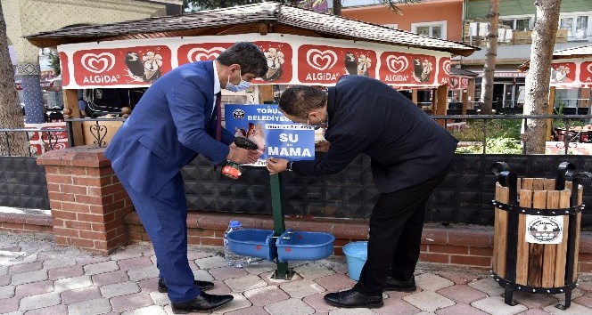 Bu ilçede sokak hayvanları aç kalmayacak
