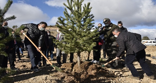 Gümüşhane’de 22 bin fidan toprakla buluştu