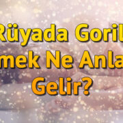 Rüyada Goril Görmek Ne Anlama Gelir? Rüyada Goril Sevmek Ve Goril Yavrusu Görmek Tabiri