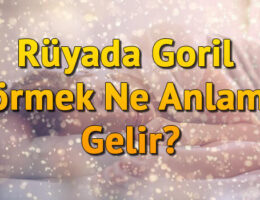 Rüyada Goril Görmek Ne Anlama Gelir? Rüyada Goril Sevmek Ve Goril Yavrusu Görmek Tabiri
