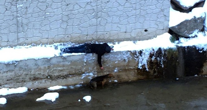 Sokak köpeğini kurtarmak için donmayı göze aldı