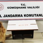 Gümüşhane’de extacy hap ve tütün operasyonu