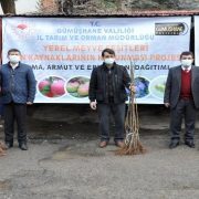 Gümüşhane’de üreticilere 4 bin adet yerli meyve fidanı dağıtıldı