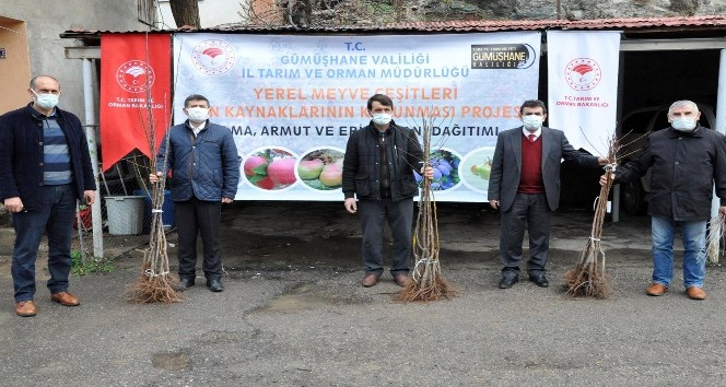Gümüşhane’de üreticilere 4 bin adet yerli meyve fidanı dağıtıldı