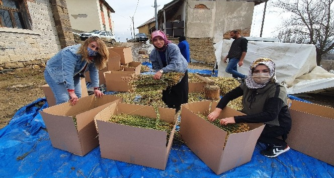 Kadınlar üretti, kadınlar ihraç etti