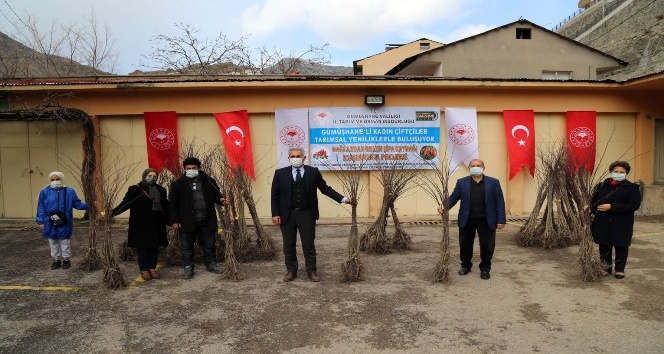 Gümüşhane’de kadın çiftçilere dikensiz kuşburnu fidanı dağıtıldı
