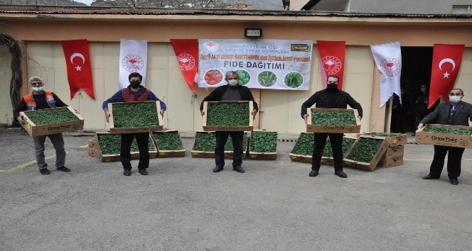 Gümüşhane’de üreticilere 146 bin 700 adet fide dağıtıldı