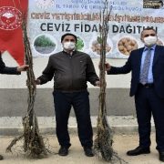 Gümüşhane’de üreticilere 5 bin 600 ceviz fidanı dağıtıldı