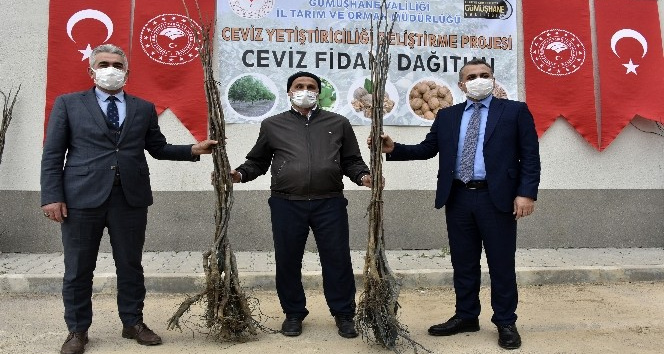 Gümüşhane’de üreticilere 5 bin 600 ceviz fidanı dağıtıldı