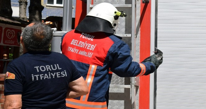 Torul İtfaiyesinden “yavru karga” operasyonu
